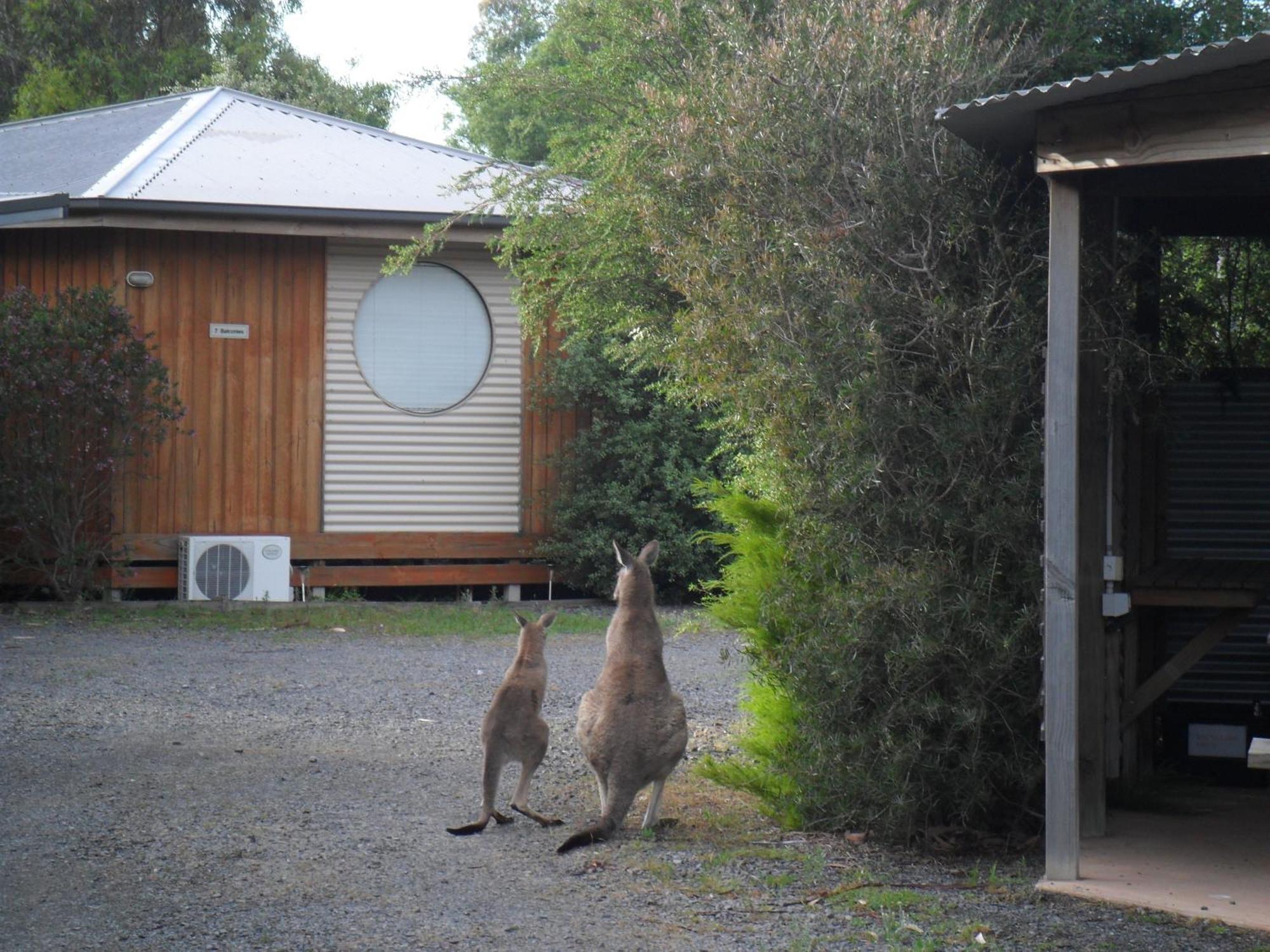 Grampians Chalets Halls Gap Esterno foto