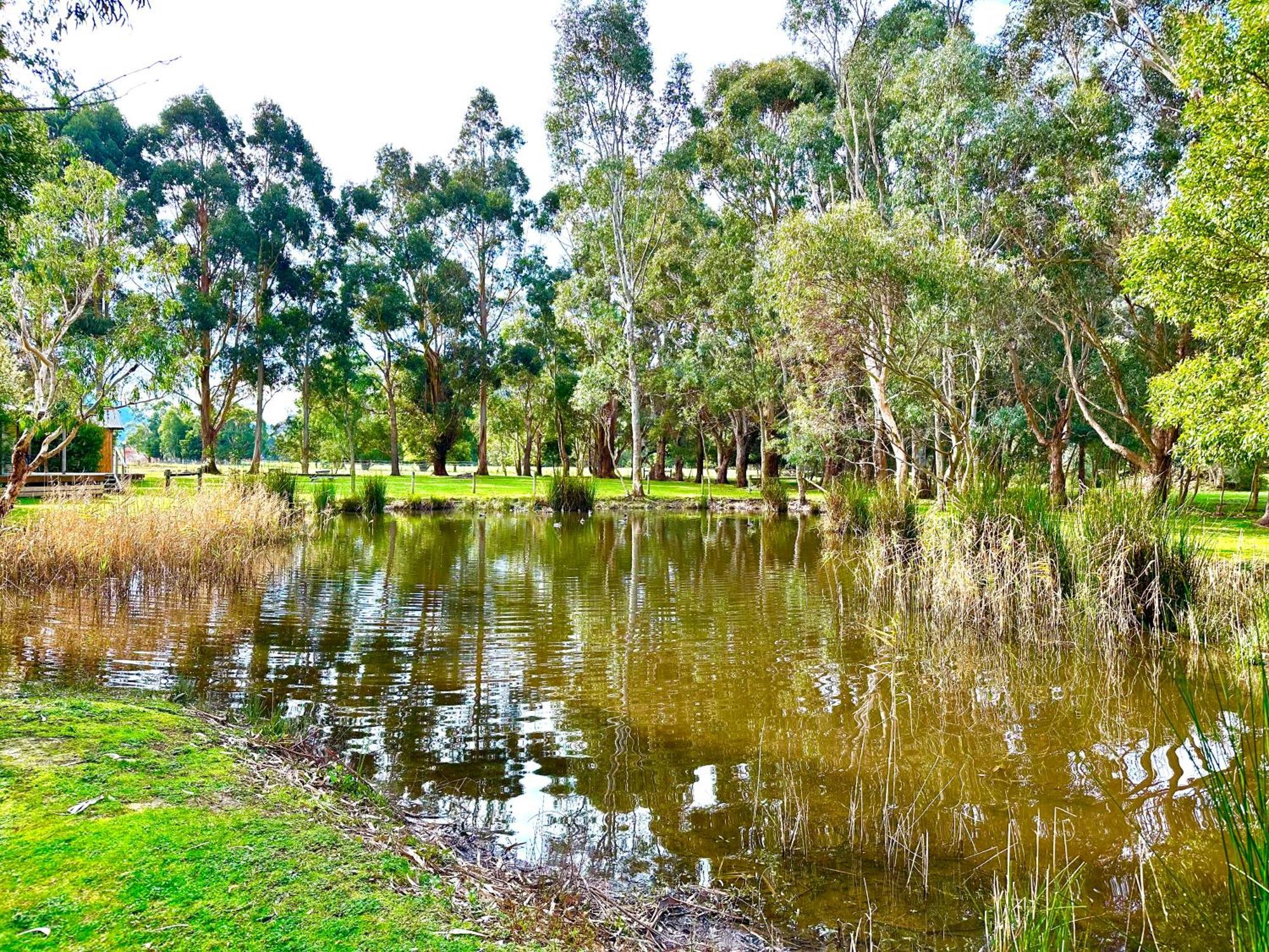 Grampians Chalets Halls Gap Esterno foto