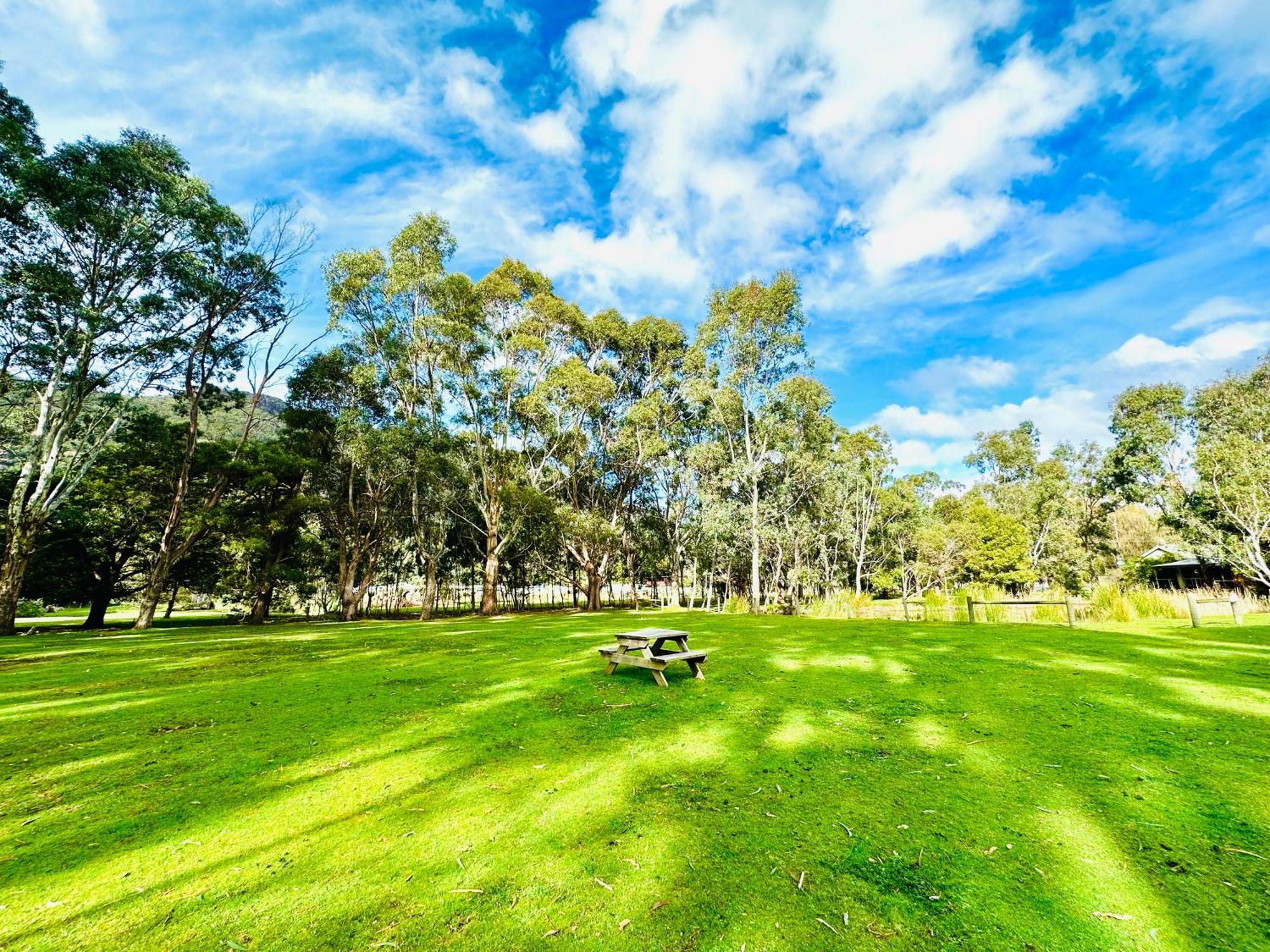 Grampians Chalets Halls Gap Esterno foto