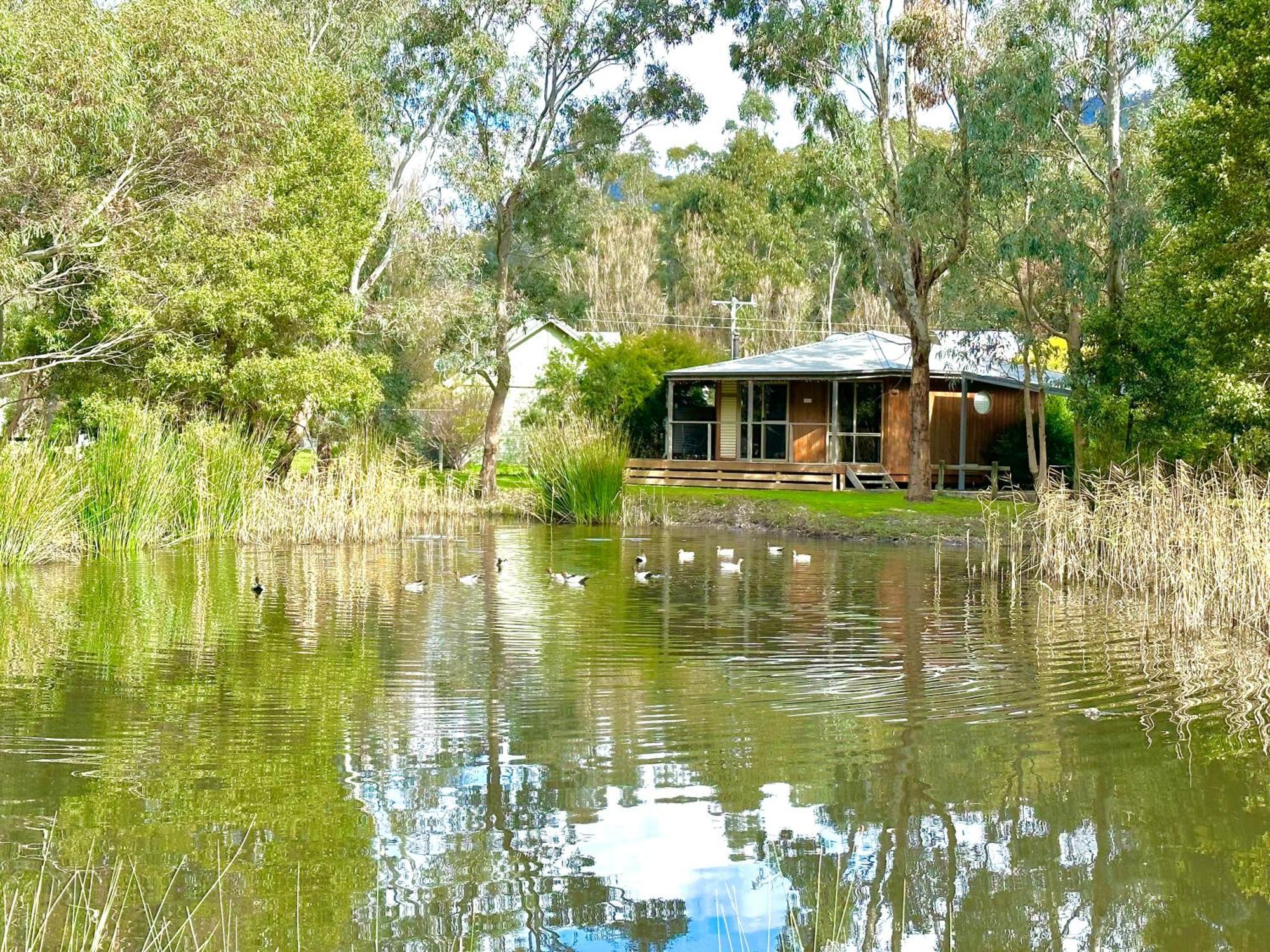Grampians Chalets Halls Gap Esterno foto