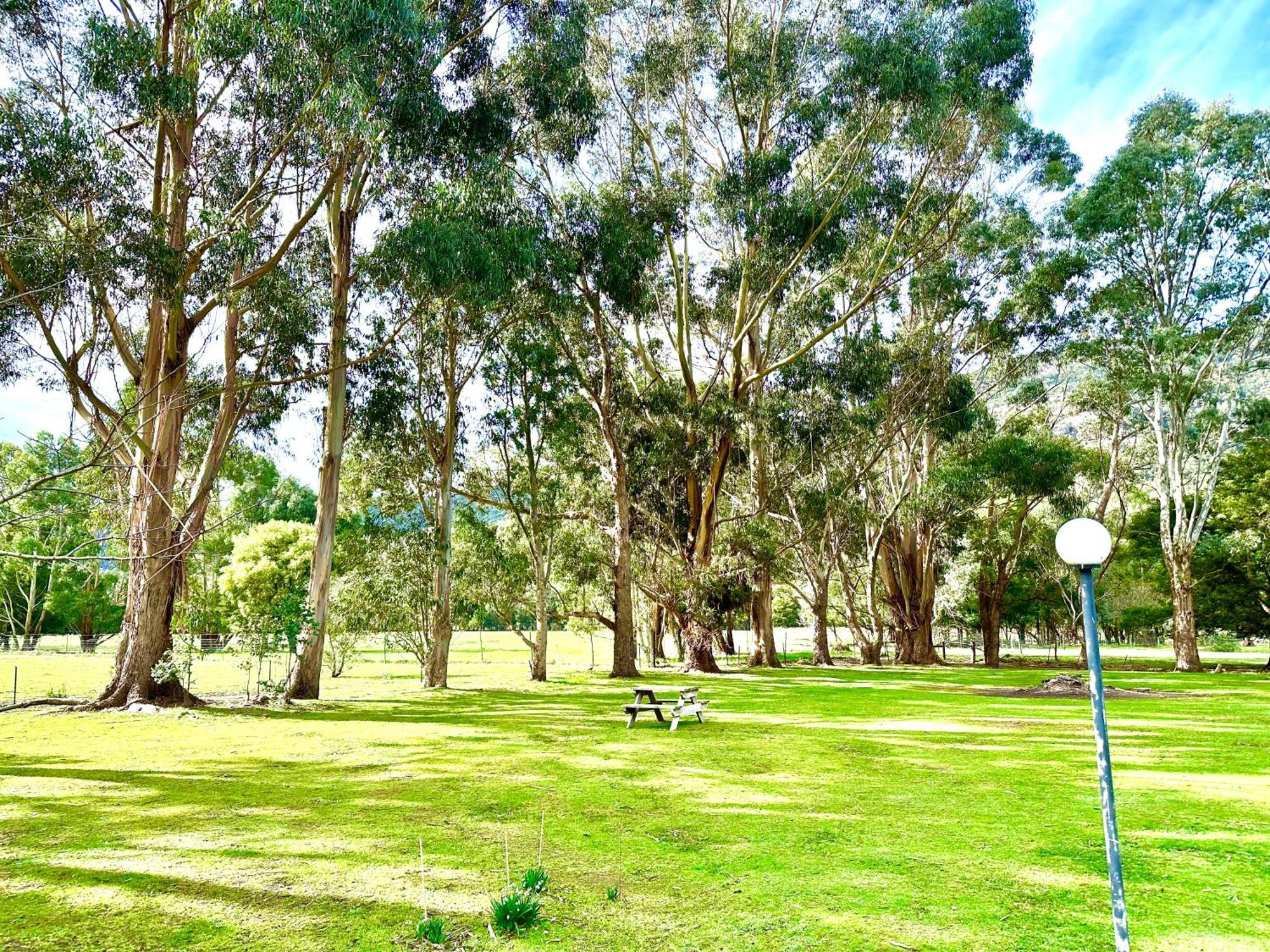 Grampians Chalets Halls Gap Esterno foto